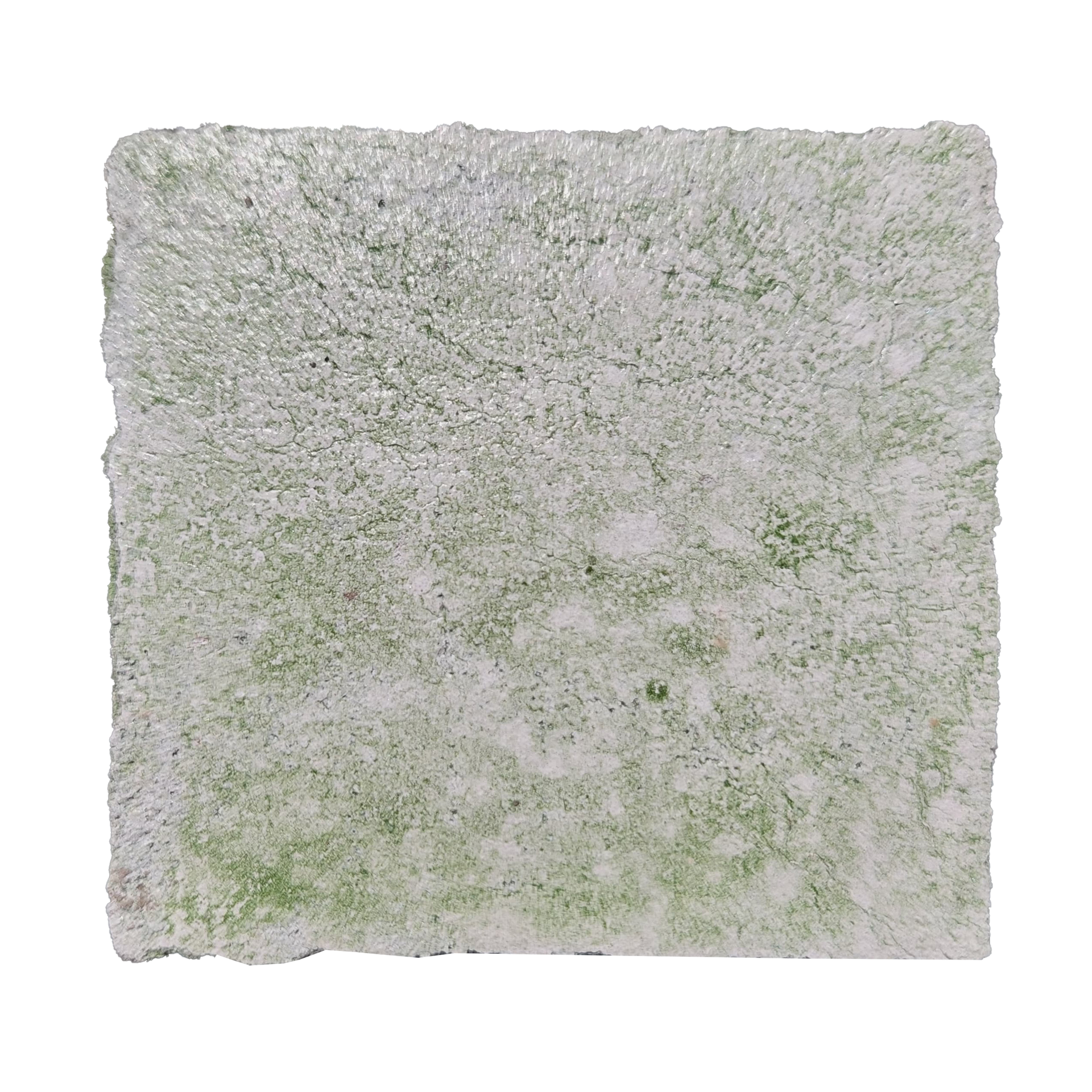 Square, textured artwork; light green and white speckled surface.