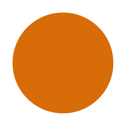 Orange circle on a white background.