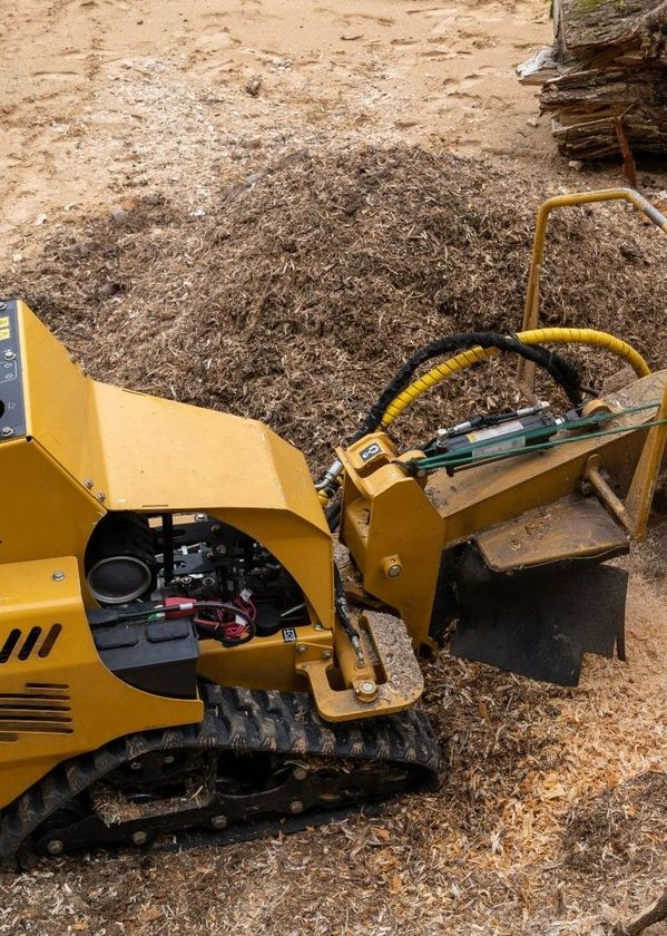 An image of Stump Grinding Services in Simsbury, CT