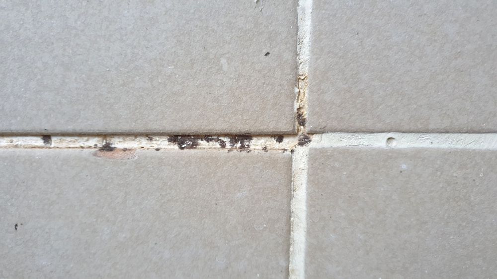 Grey Bathroom Tiles — Handi Skips in Bohle, QLD