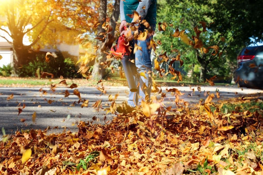 A Person Is Blowing Leaves on The Sidewalk with A Leaf Blower — Handi Skips in Bohle, QLD
