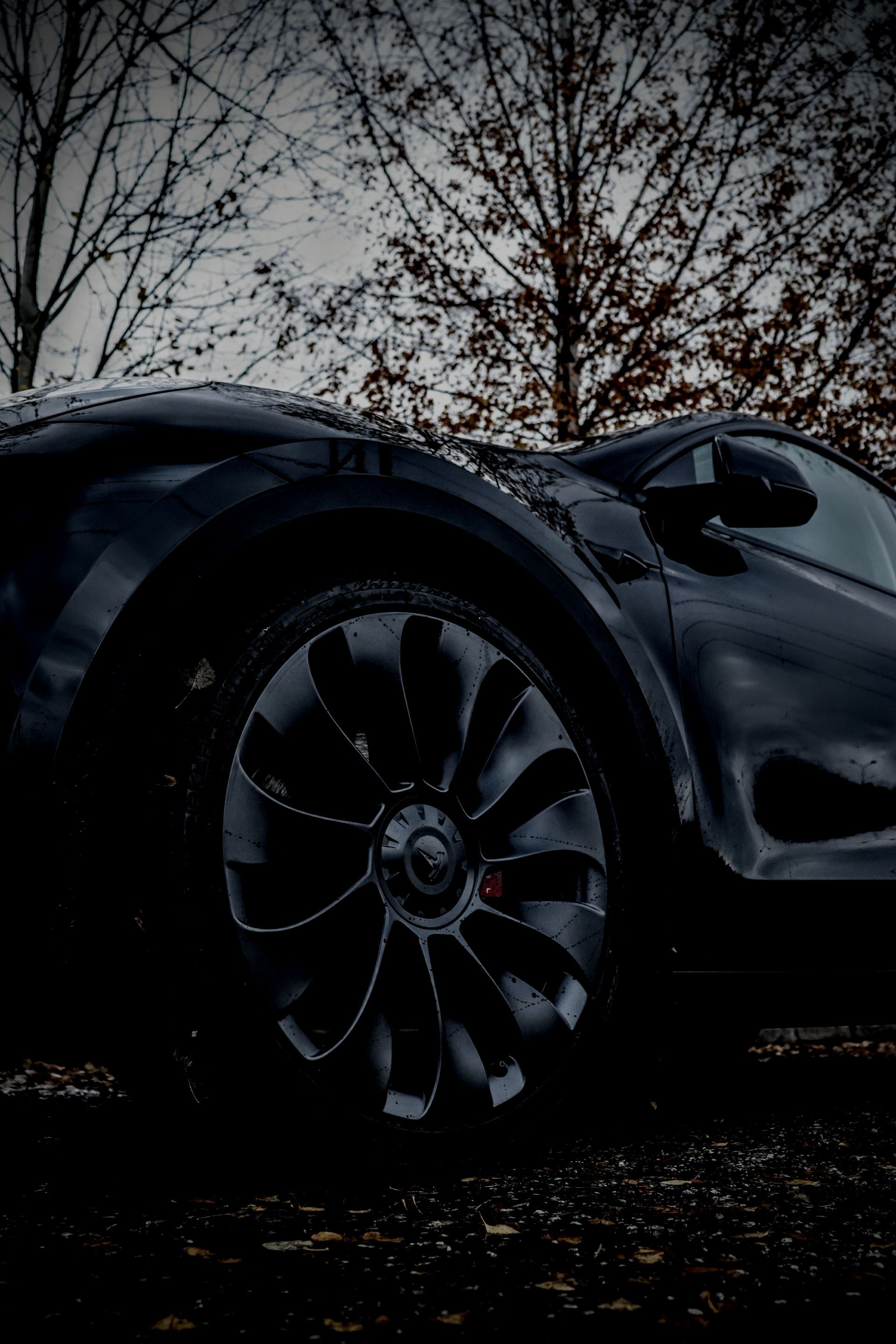 A black car is parked in the dark with trees in the background.