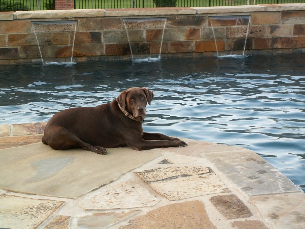 hardscape installation