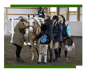 Equestrian Facility Westchester, NY	