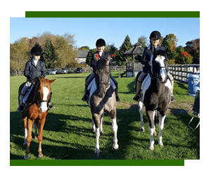 Horse Riding Lessons Briacliff Manor, NY