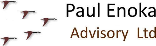 Paul Enoka Chartered Accountants Ltd, Accountants, Accountant, Wellington