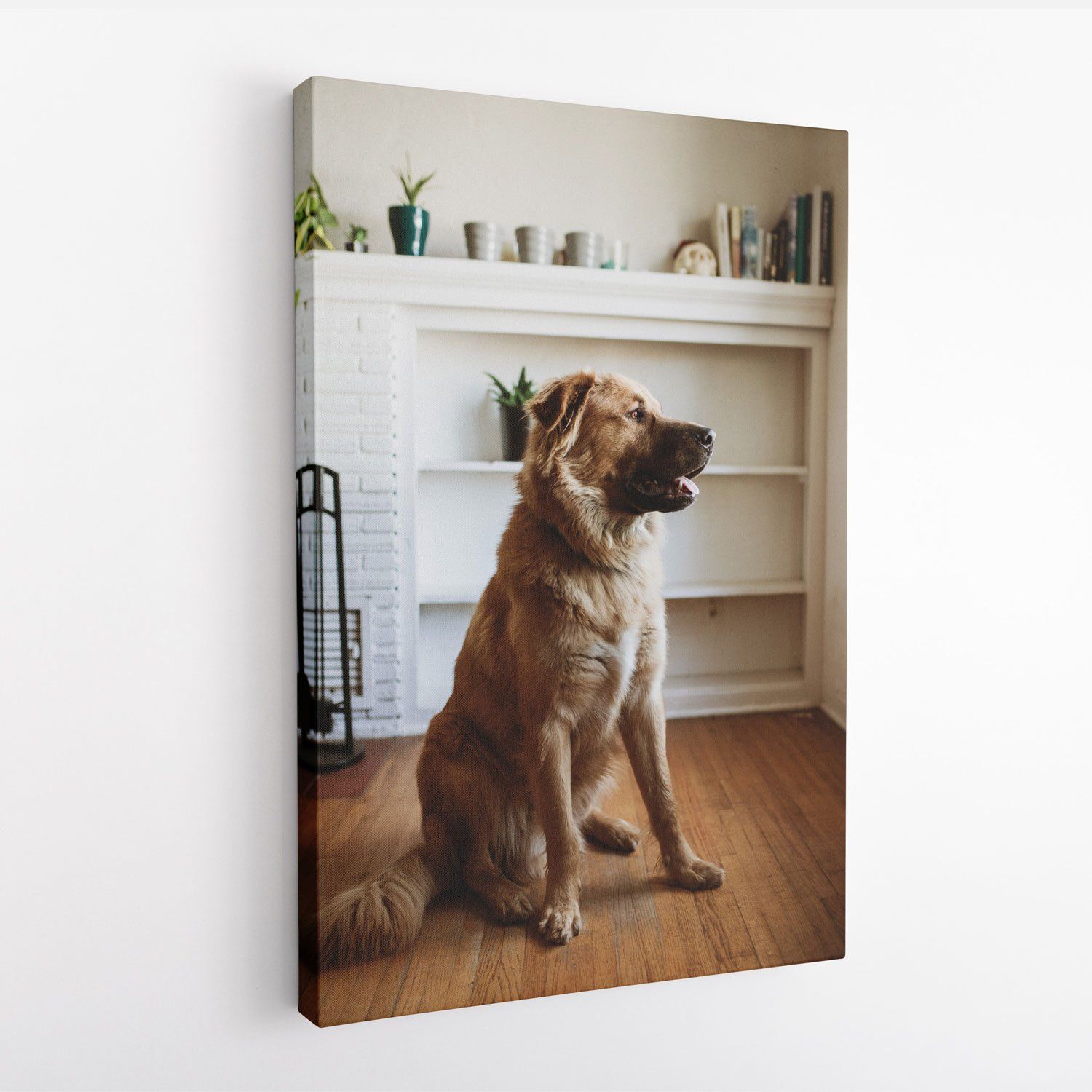 A dog is sitting on a wooden floor in a living room.