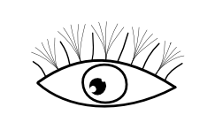 hybrid eyelash extensions, eyelash extensions, lashes