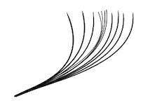 wispy eyelash extensions, lash extensions, Seattle lashes