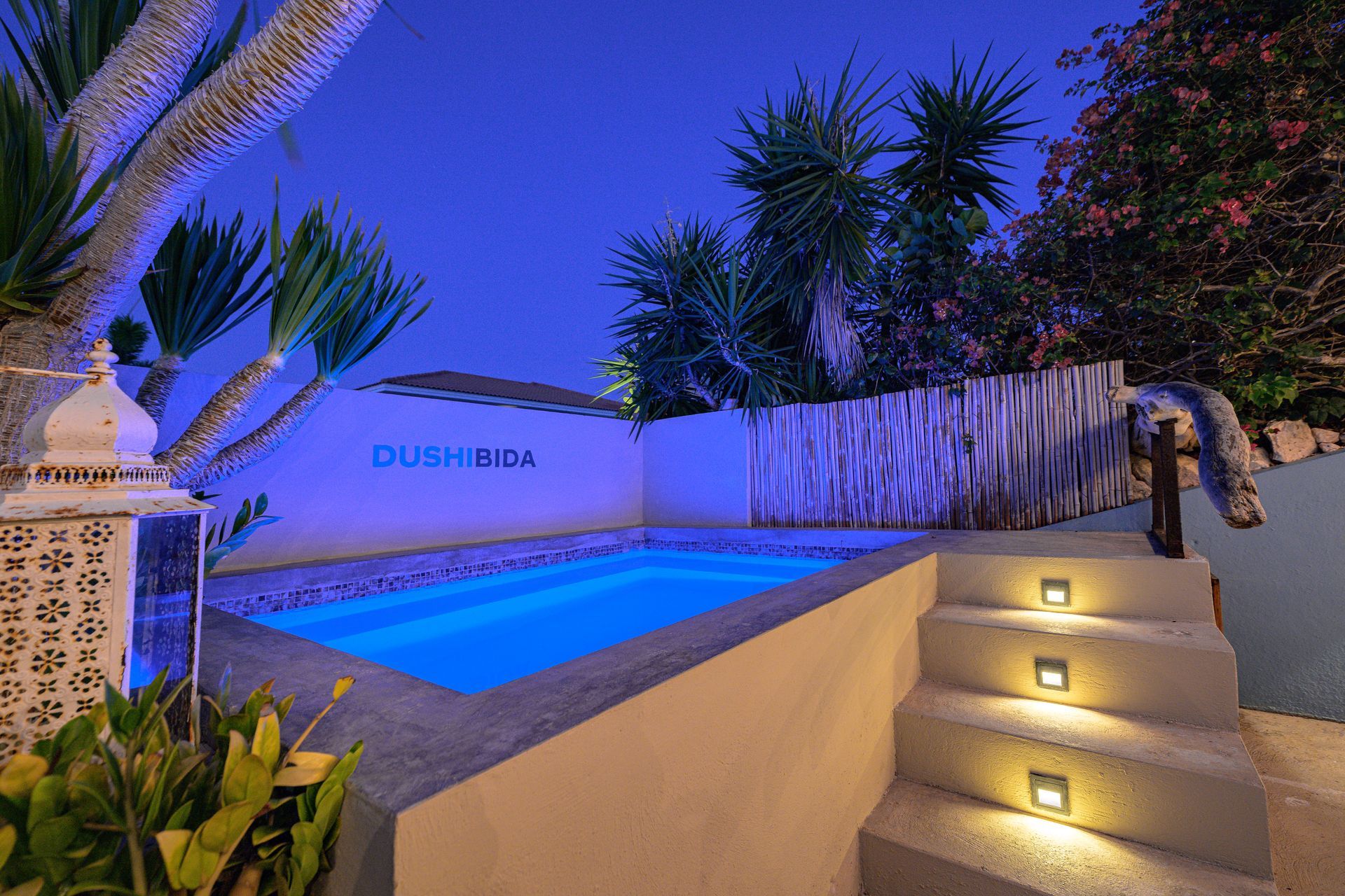 Tukas.221 small pool at night