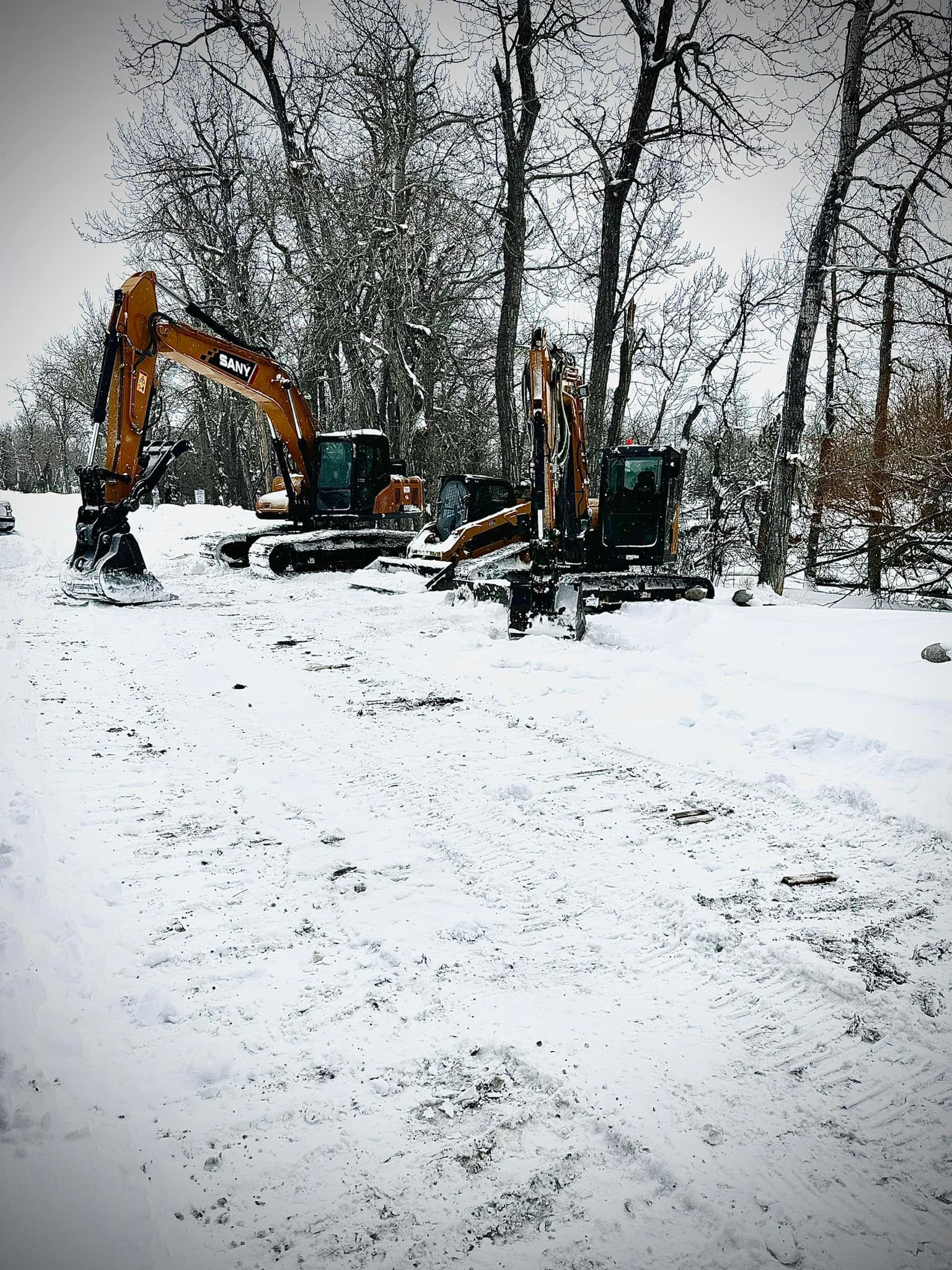 Two excavators in a snowy, wooded area.
