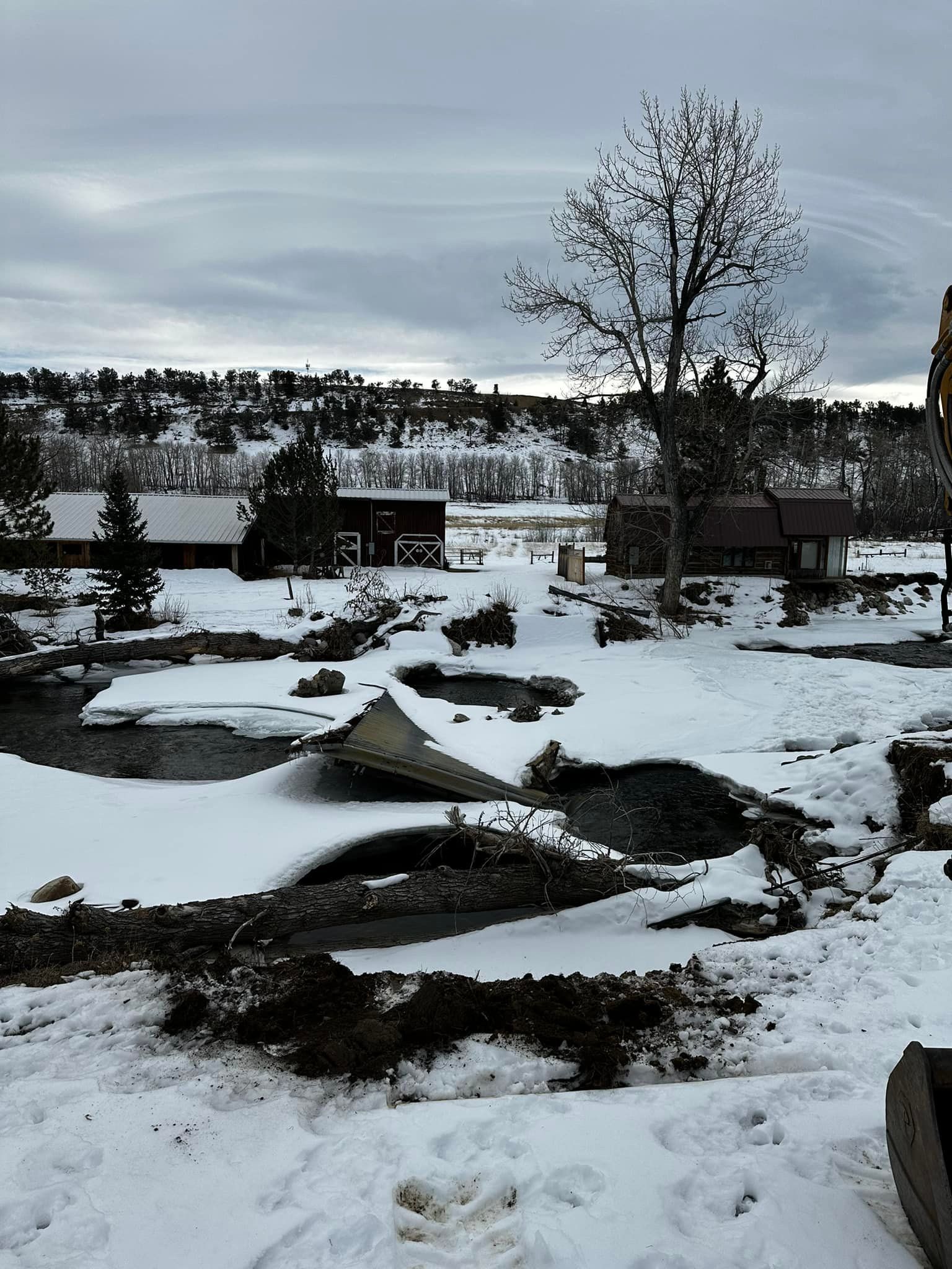 Snowy landscape with creek, cabins, and bare tree under a cloudy sky.