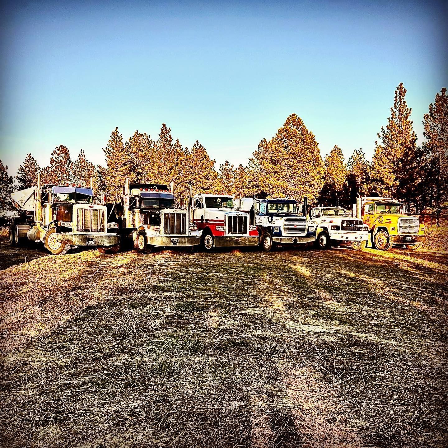 Six trucks parked in a field with trees in the background under a blue sky.