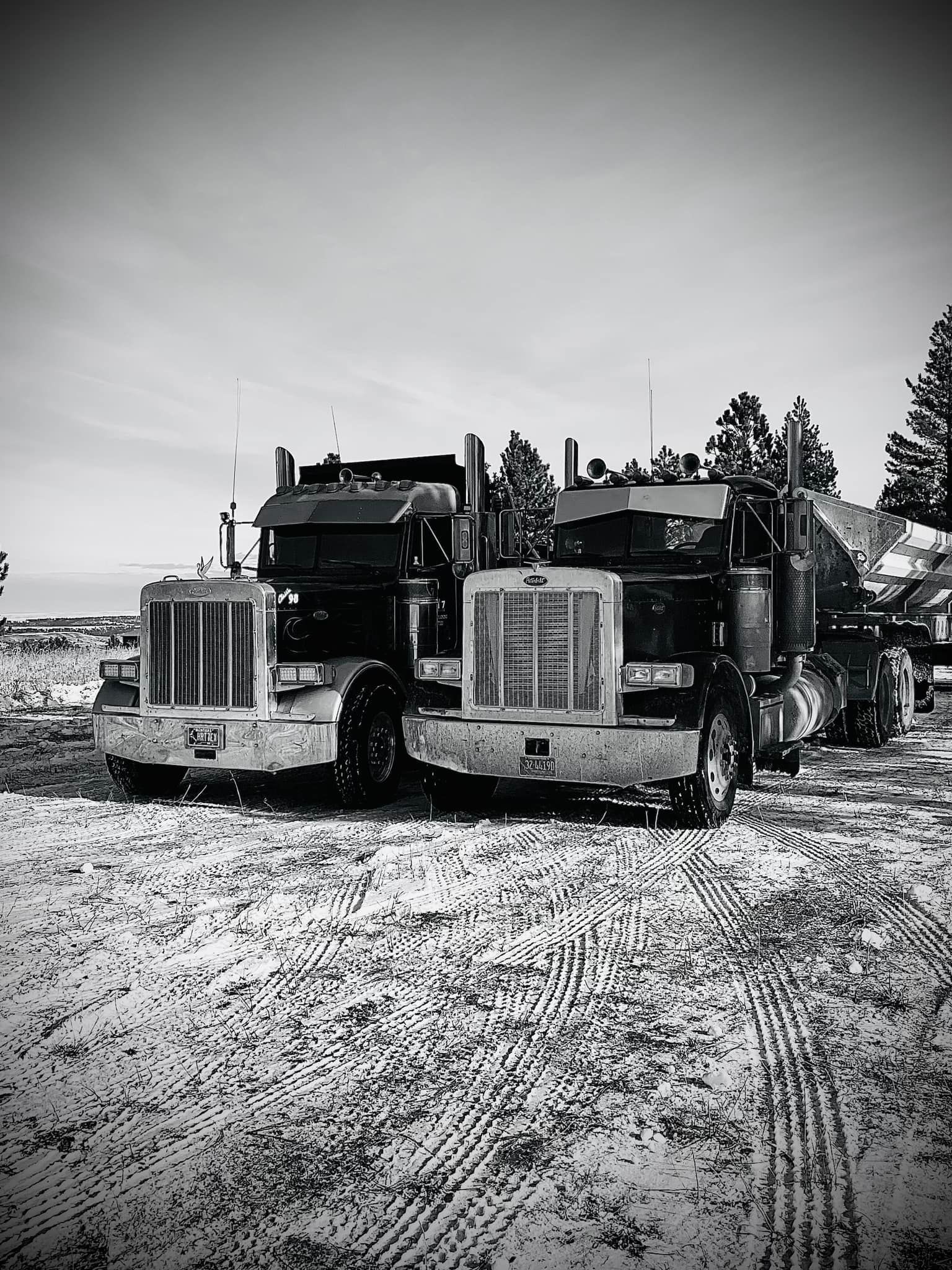 Two semi-trucks parked in a snow-covered area, trees and sky in background. Black and white.