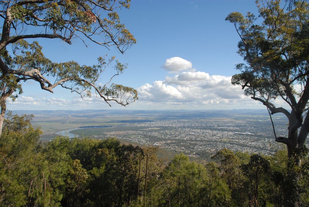 A View of a City From a Hill With Trees — Supersonic Couriers In Rockhampton, QLD