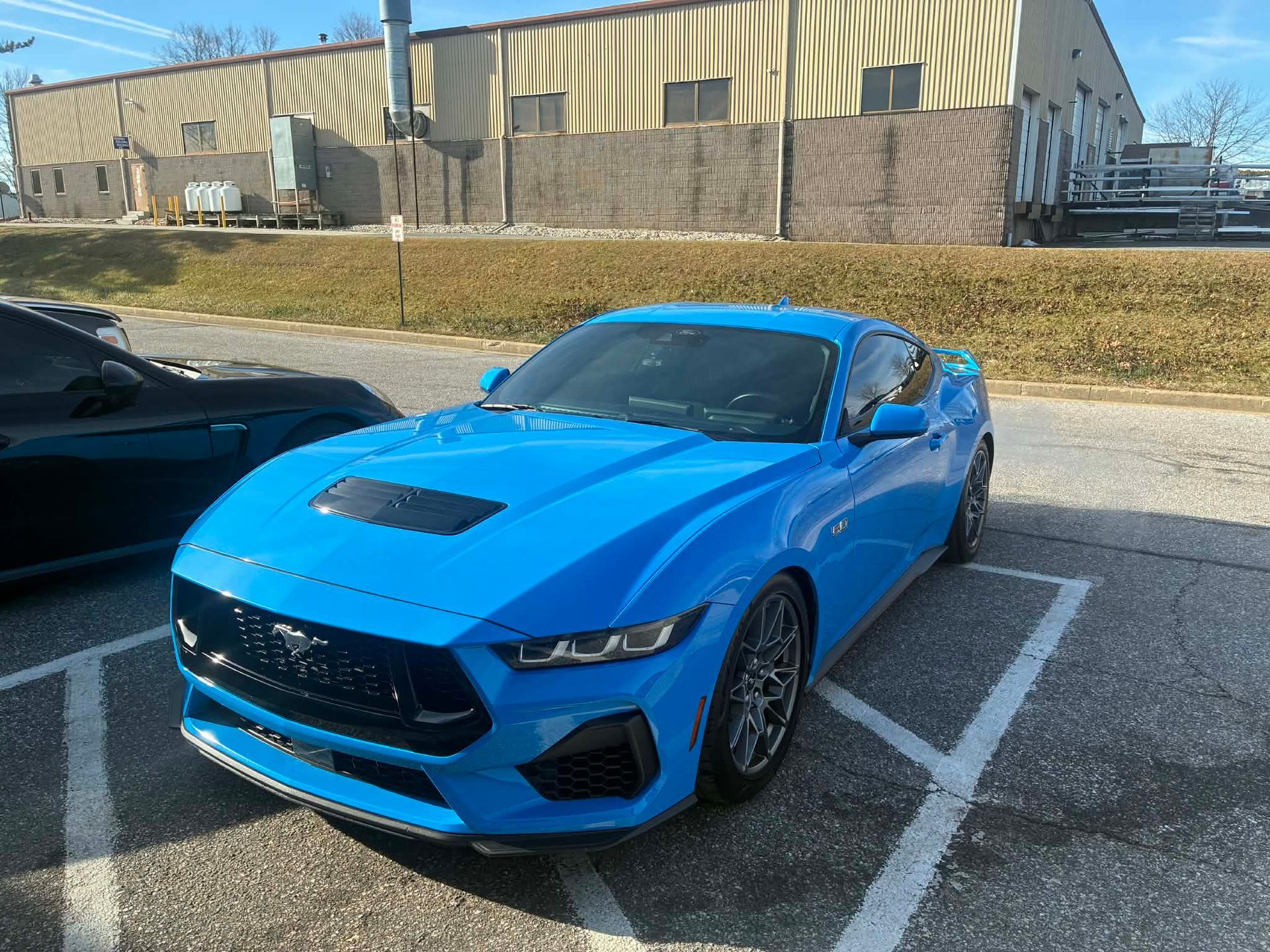 Bright blue Ford Mustang parked in a lot, sunny day, with building in the background.