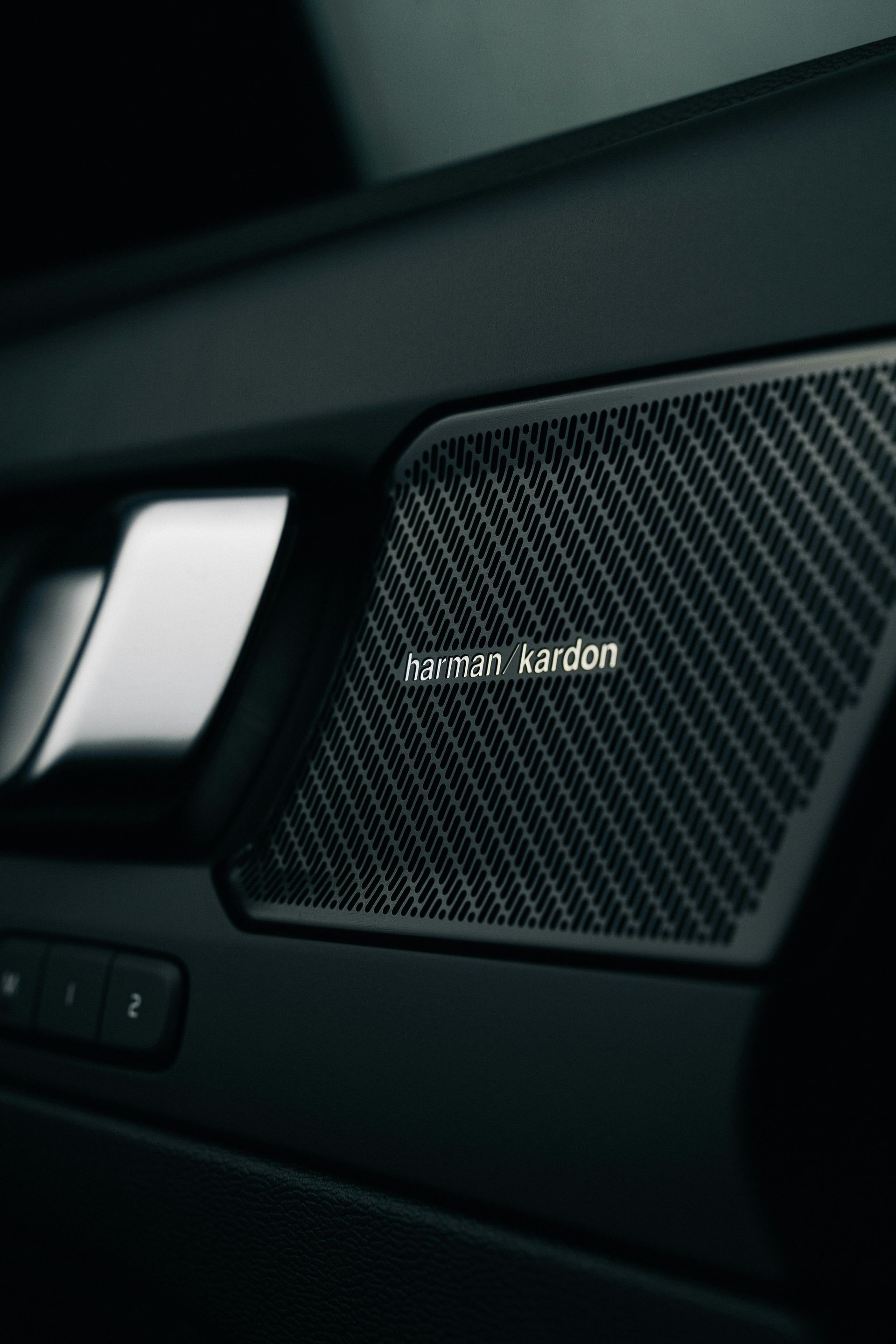 Harman Kardon speaker on a dark car door panel with carbon fiber texture. Silver door handle is visible.