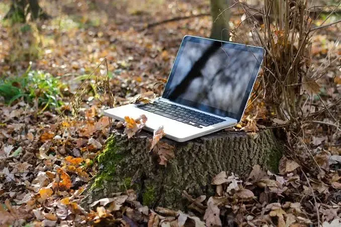 Laptop on a tree stump in a leafy forest with autumn leaves on the ground