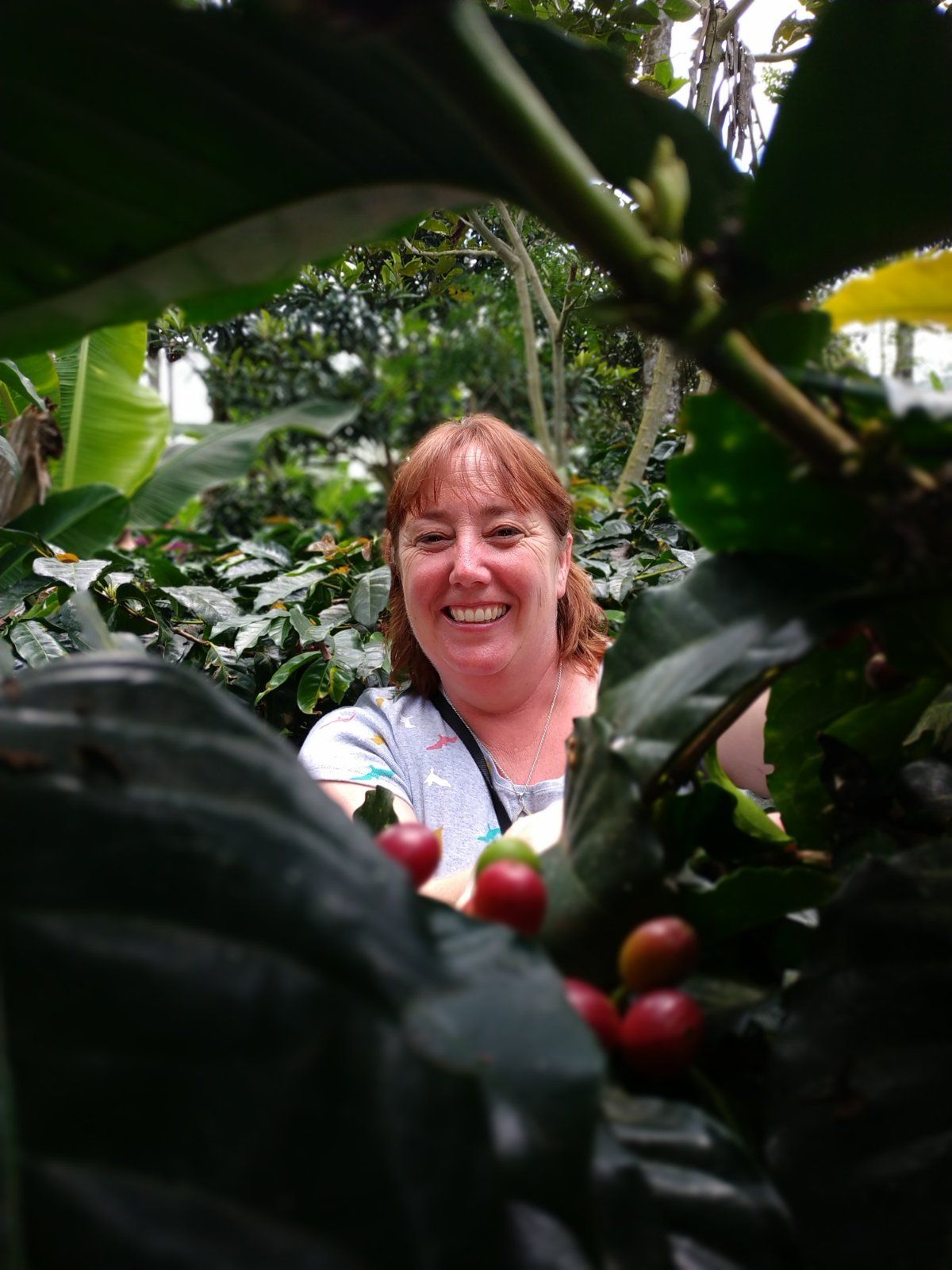 Colombia Motorcycle Tours