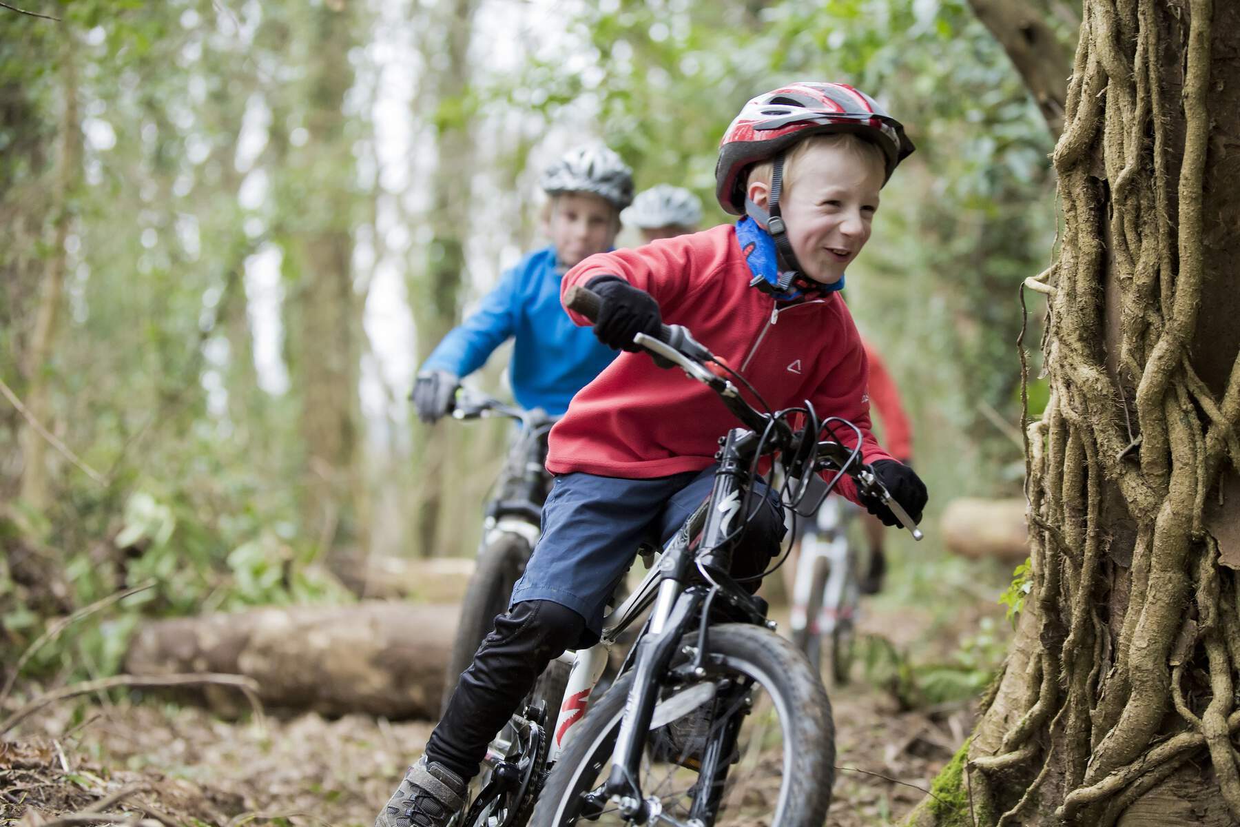 E-Bike Rental Ireland - Limerick Greenway