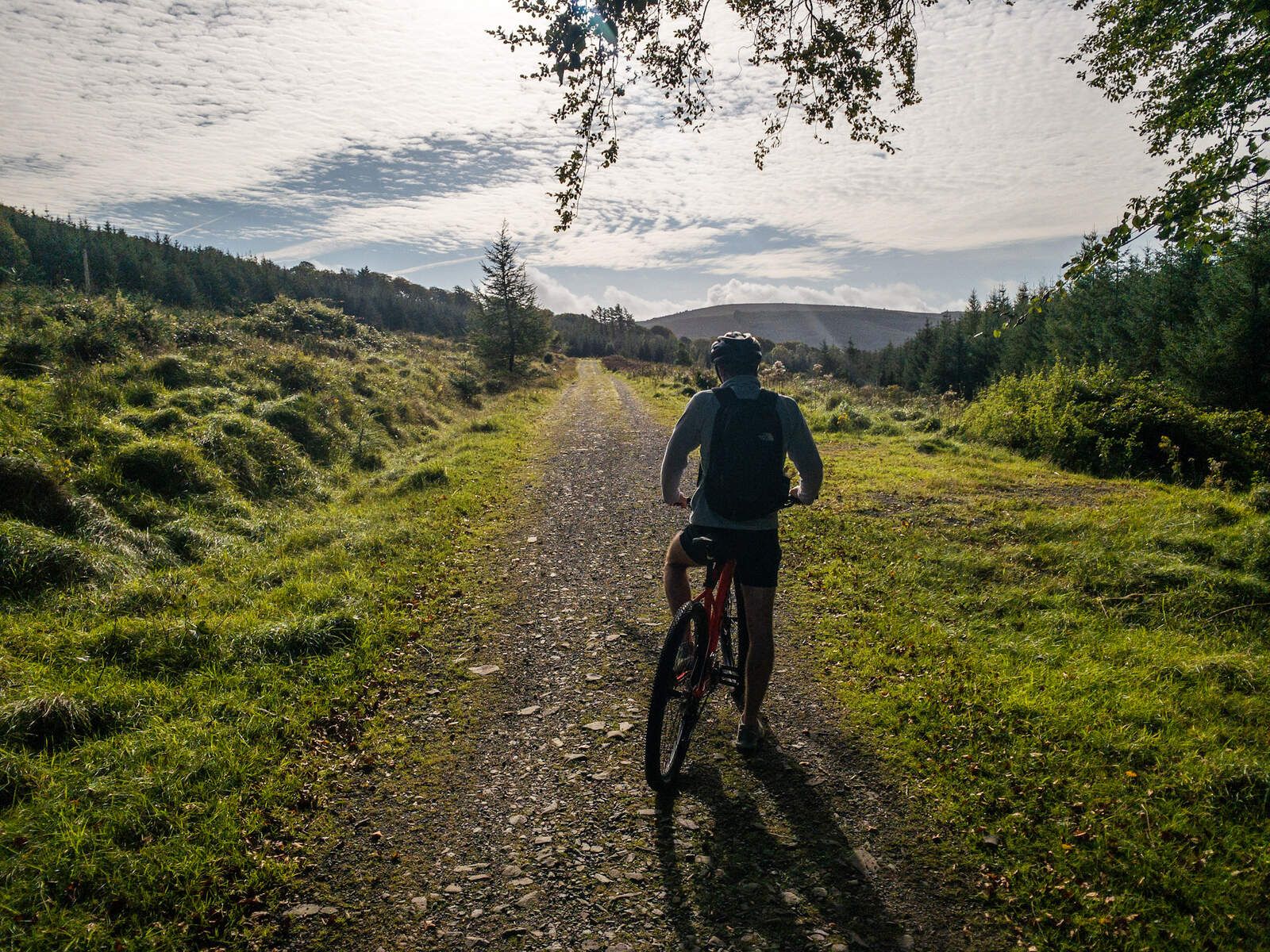 E-Bike Rental Ireland - Limerick Greenway