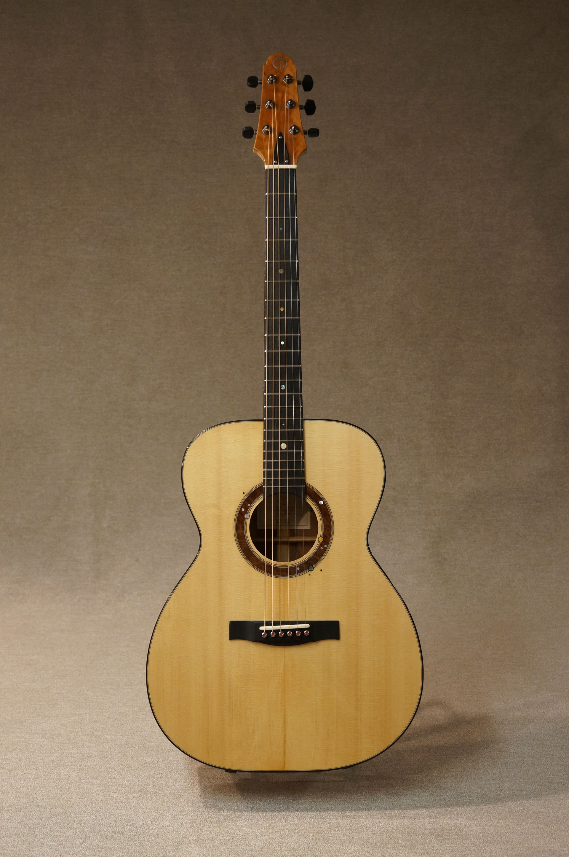 Asteria Guitar