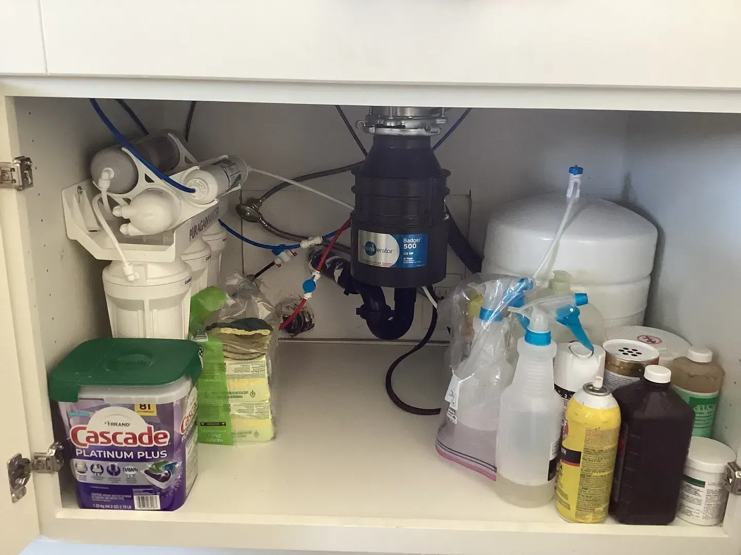 Under kitchen sink: water filter system, garbage disposal, cleaning supplies, and dishwasher detergent.