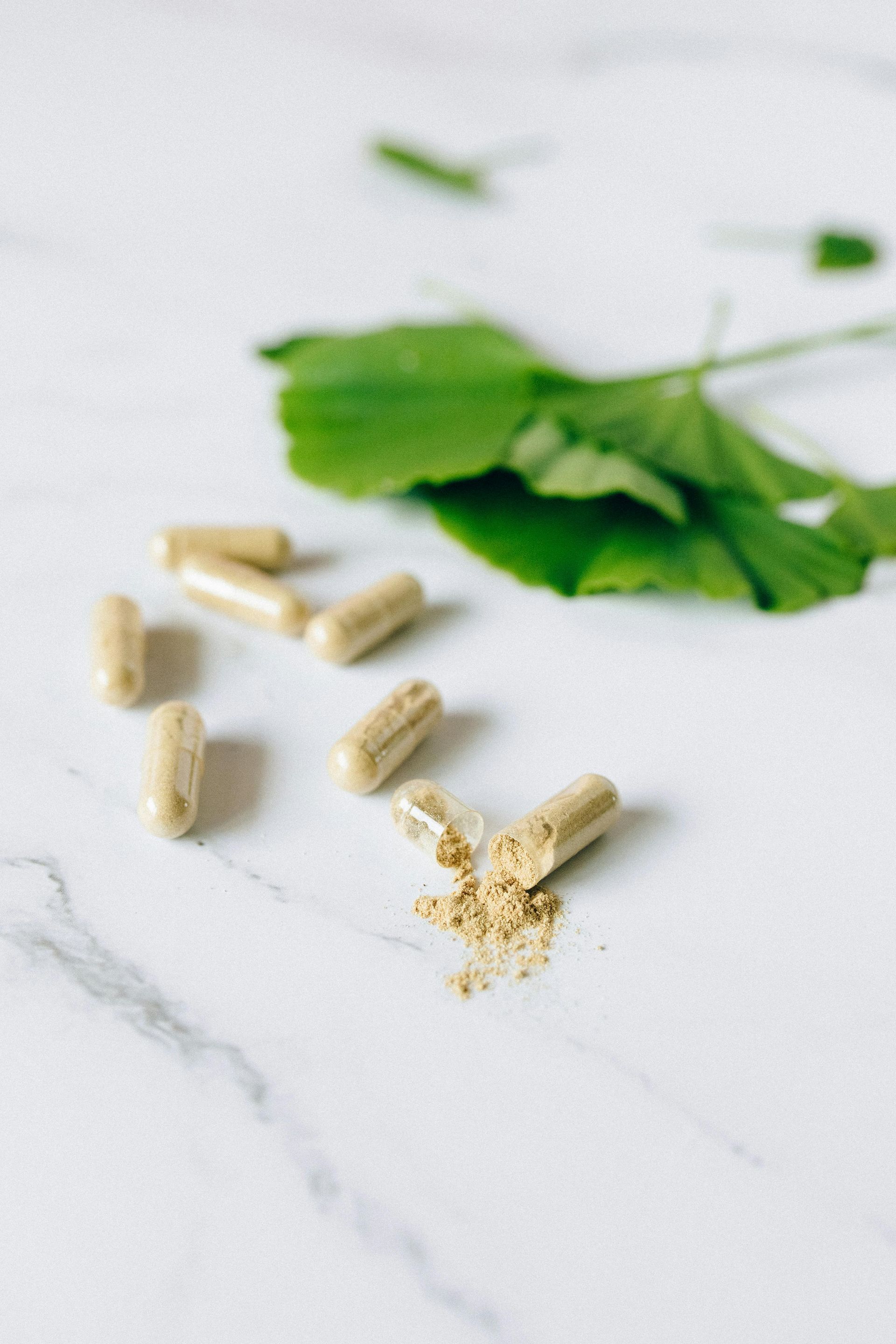 Cápsulas e folhas de Ginkgo biloba espalhadas sobre uma superfície de mármore branco, uma cápsula aberta revelando o pó.