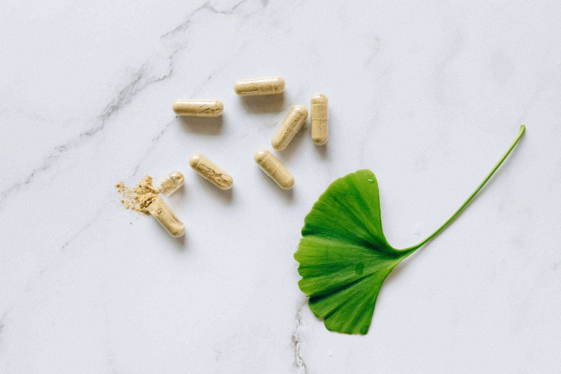 Cápsulas e folhas de ginkgo biloba sobre uma superfície de mármore branco. Uma cápsula aberta, revelando pó.