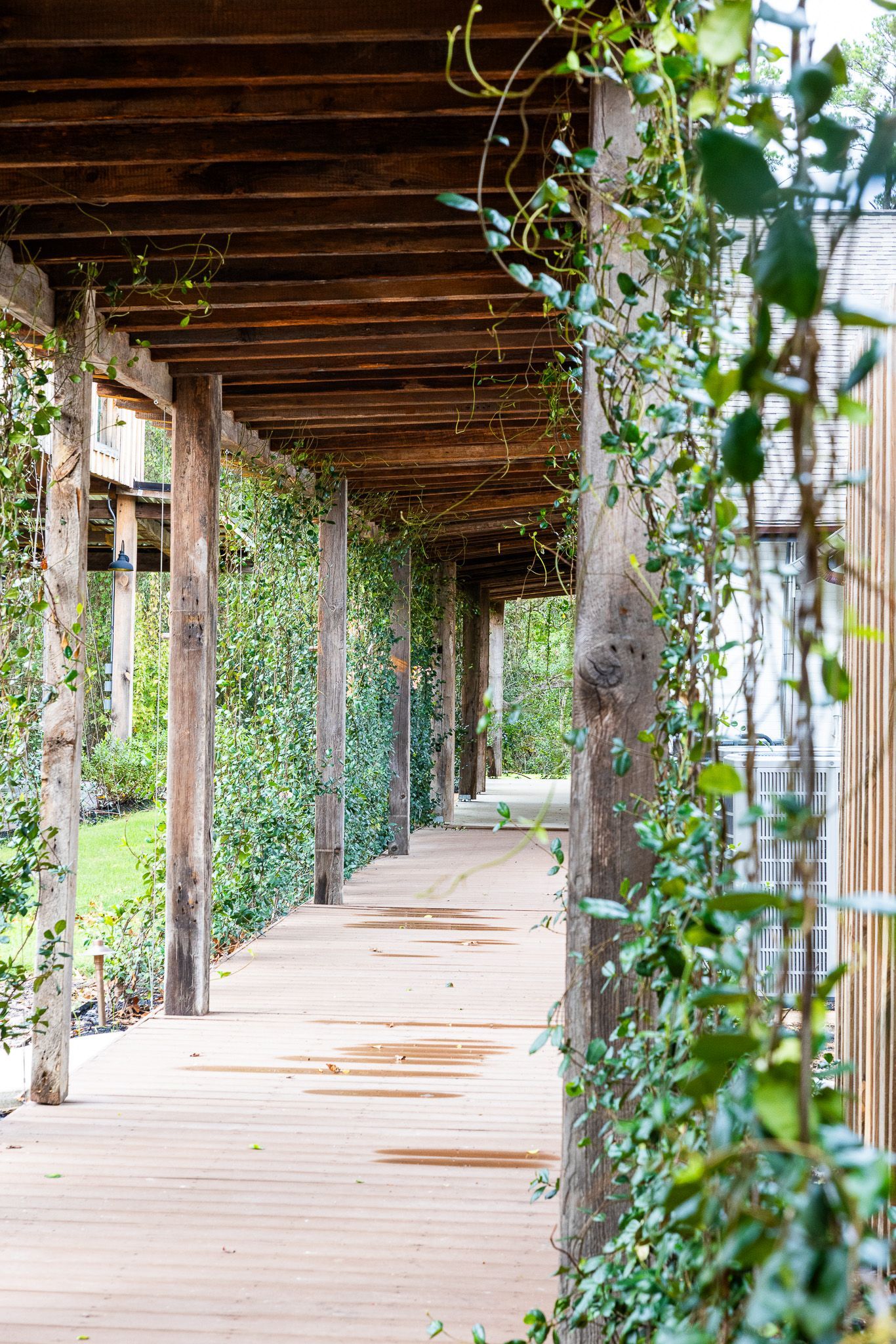 Wooden walkway covered by a pergola, lined with climbing vines.