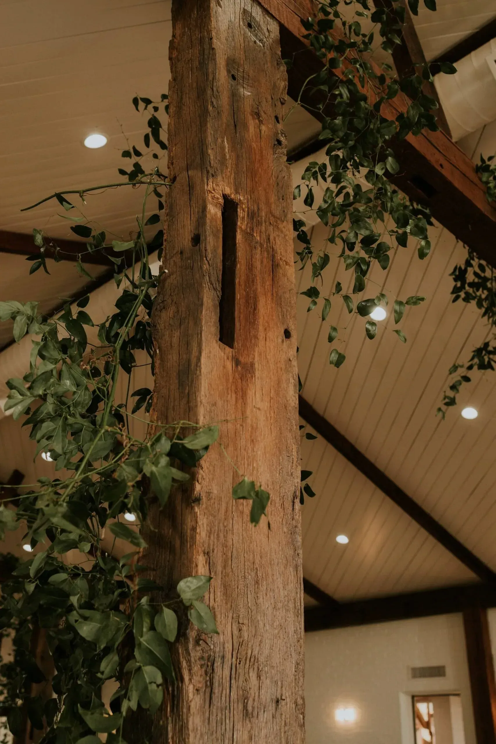 Wooden pillar with greenery and recessed lighting in a room with a vaulted ceiling.