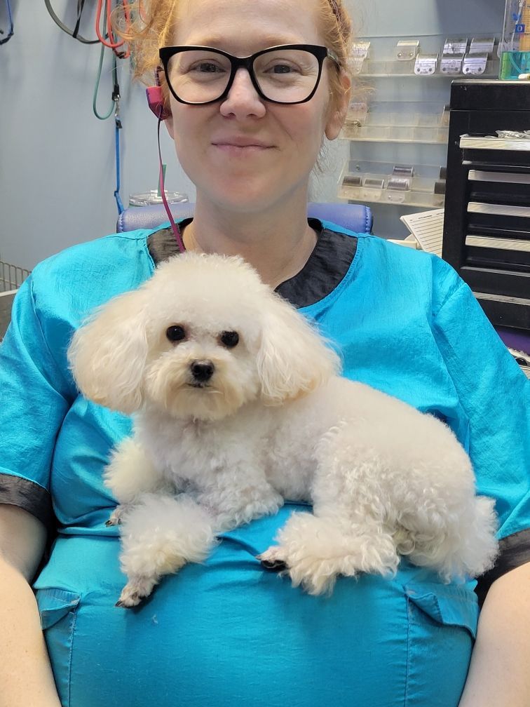 Woman in blue scrubs holds a white fluffy dog; both look at the camera.