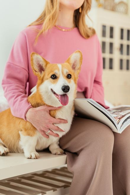 Woman holding a dog, reflecting the emotional bond with a pet