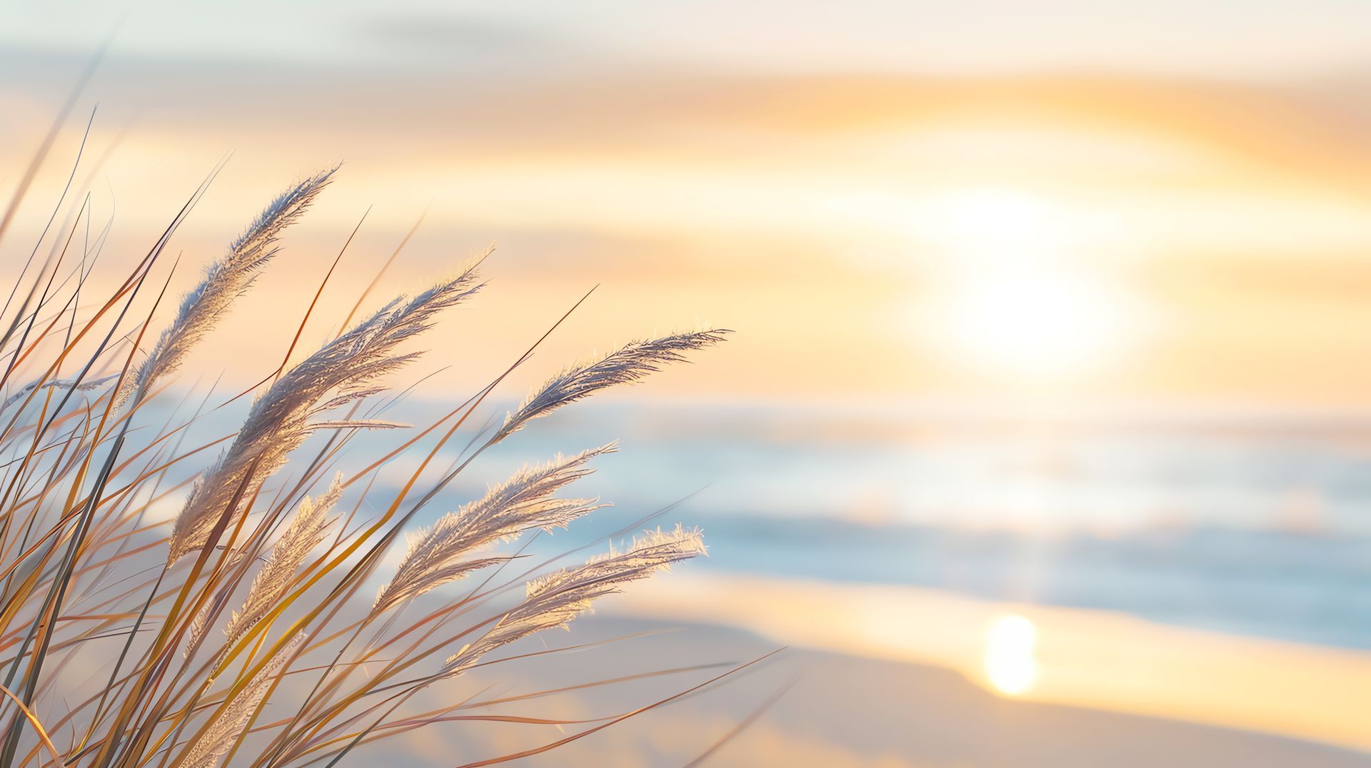 Sunset beach scene