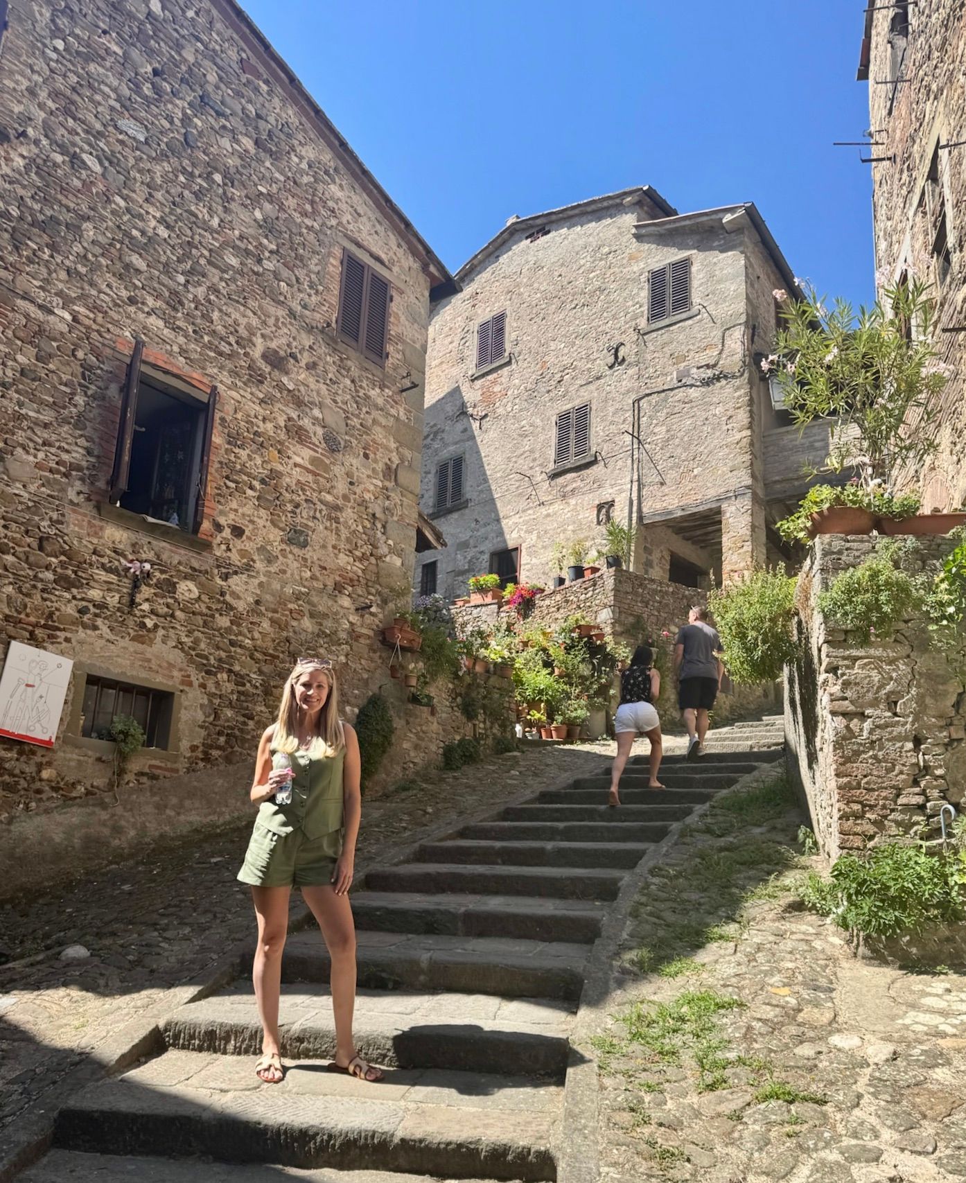 Waterfall cascades into a rocky river. Mountains rise in the background under a cloudy sky.