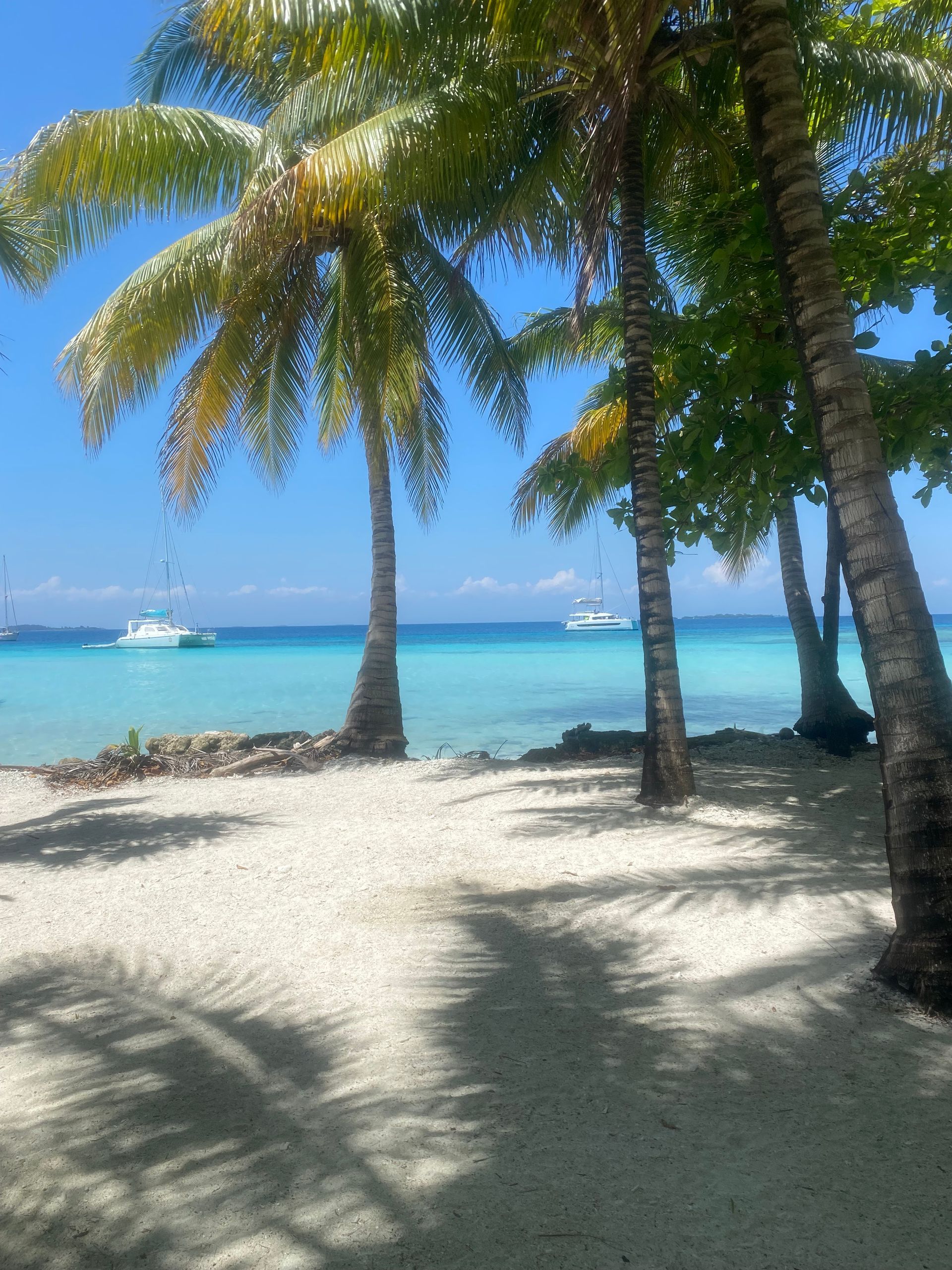 Beach scene with palm trees, white sand, and turquoise water; sailboats in the distance. Belize