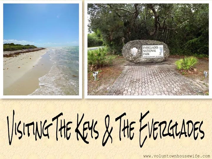 An Overview of Our Family Vacation to the Keys and the Everglades