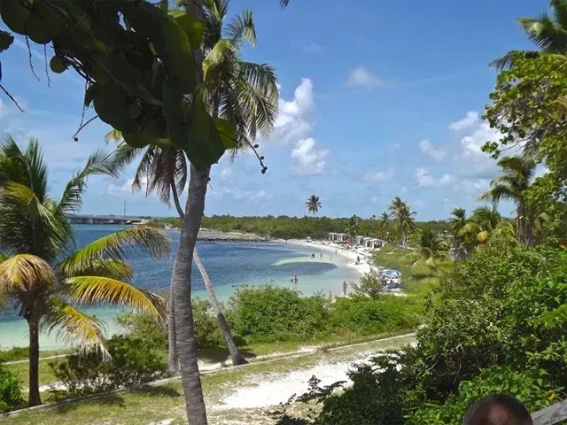 Florida Keys, Bahia Honda State Park with palm trees, turquoise water, and a sandy shoreline under a blue sky