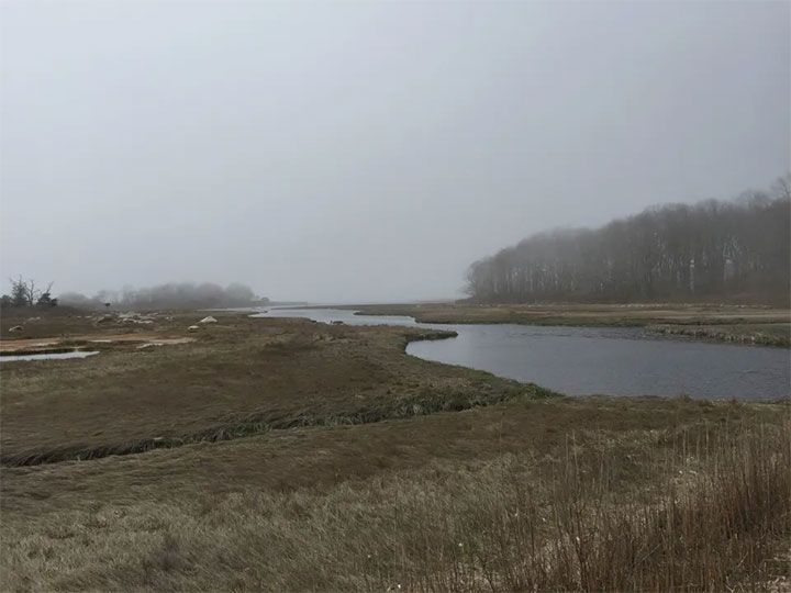 Barn Island~Stonington, CT