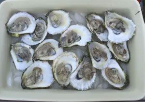 food served on plate 4