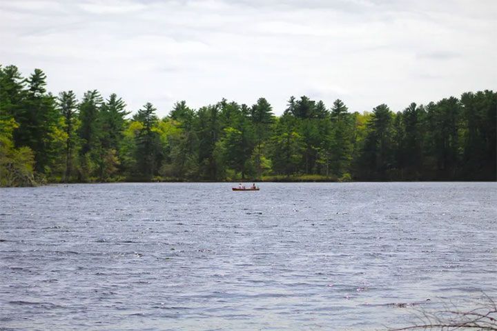 Tillinghast Pond Management Area