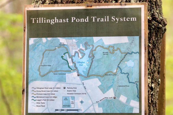 Tillinghast Pond Management Area
