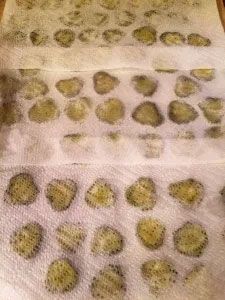 fried pickle 