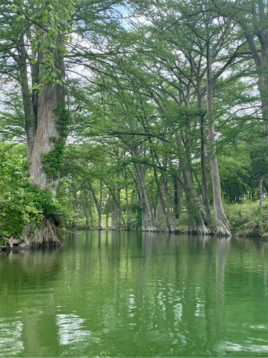 Medina River, Texas