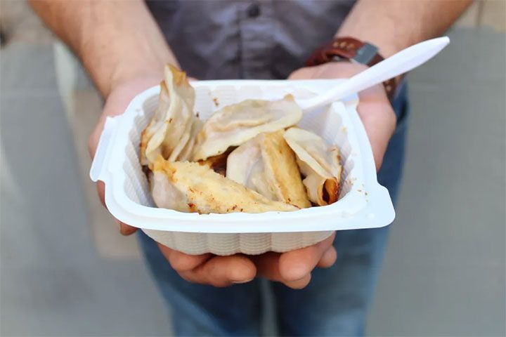Fried Dumpling 
