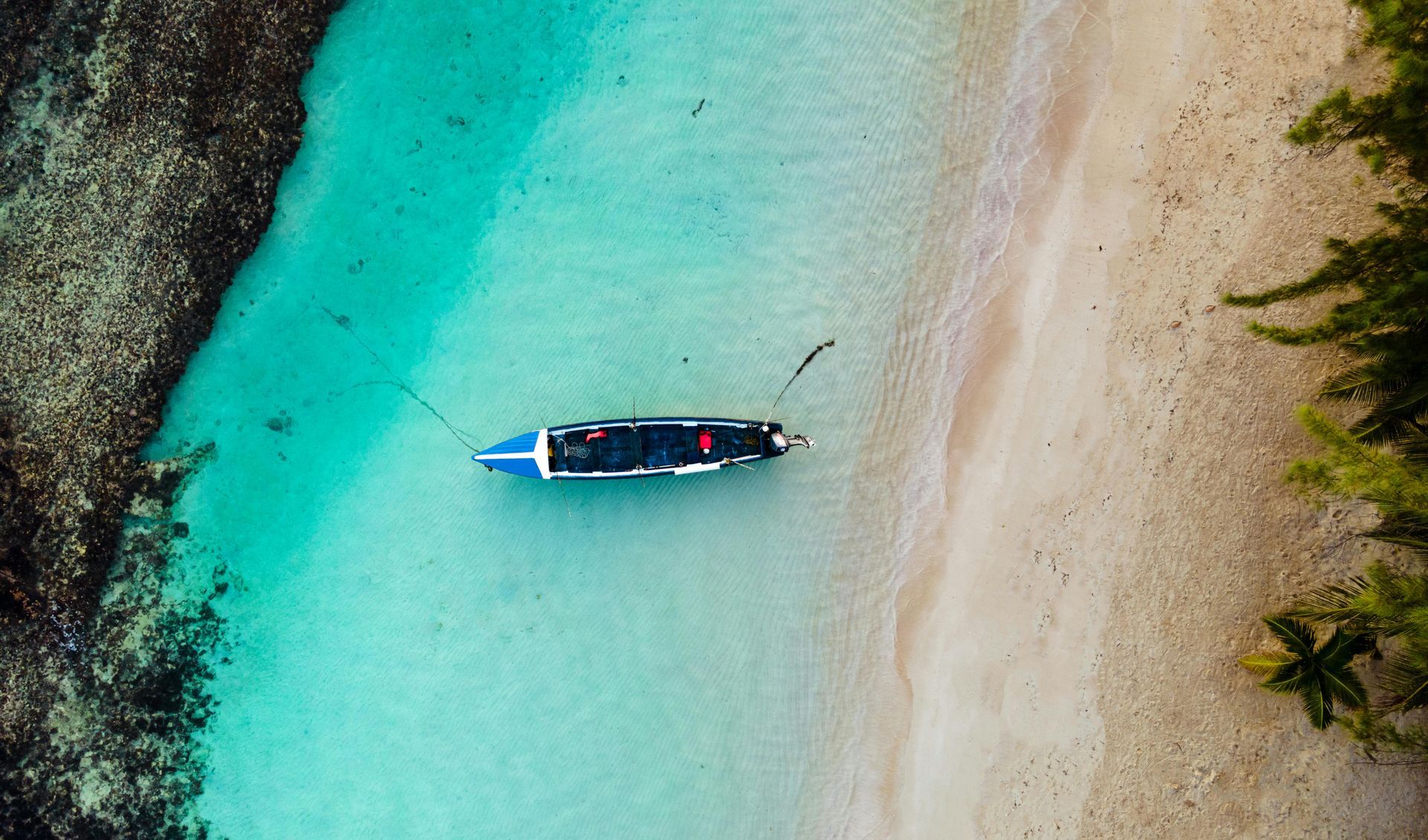 A blue and white boat in turquoise water next to a sandy beach with coral and foliage.