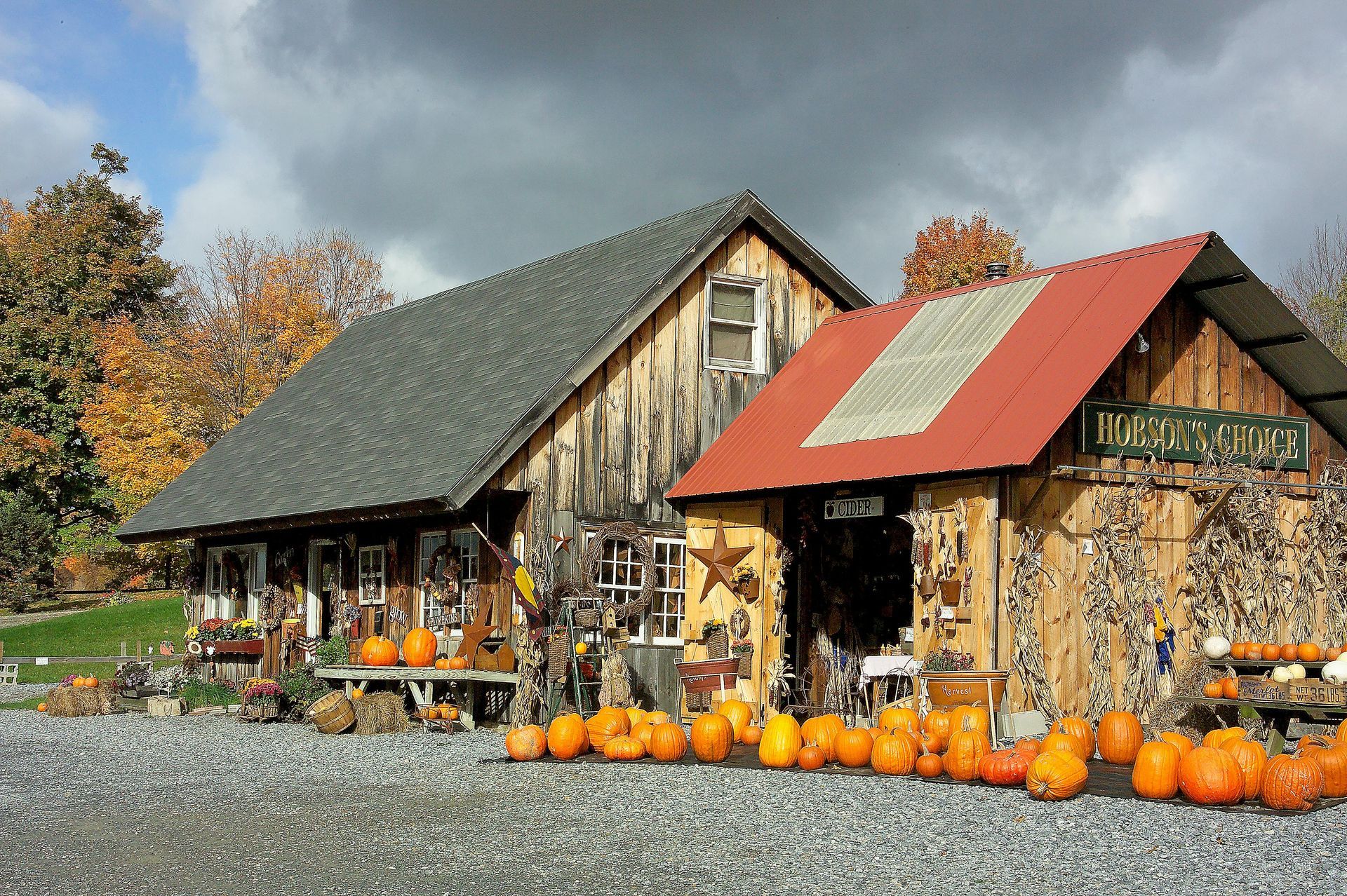 Old wooden farm building with orange pumpkins, surrounded by autumn trees.