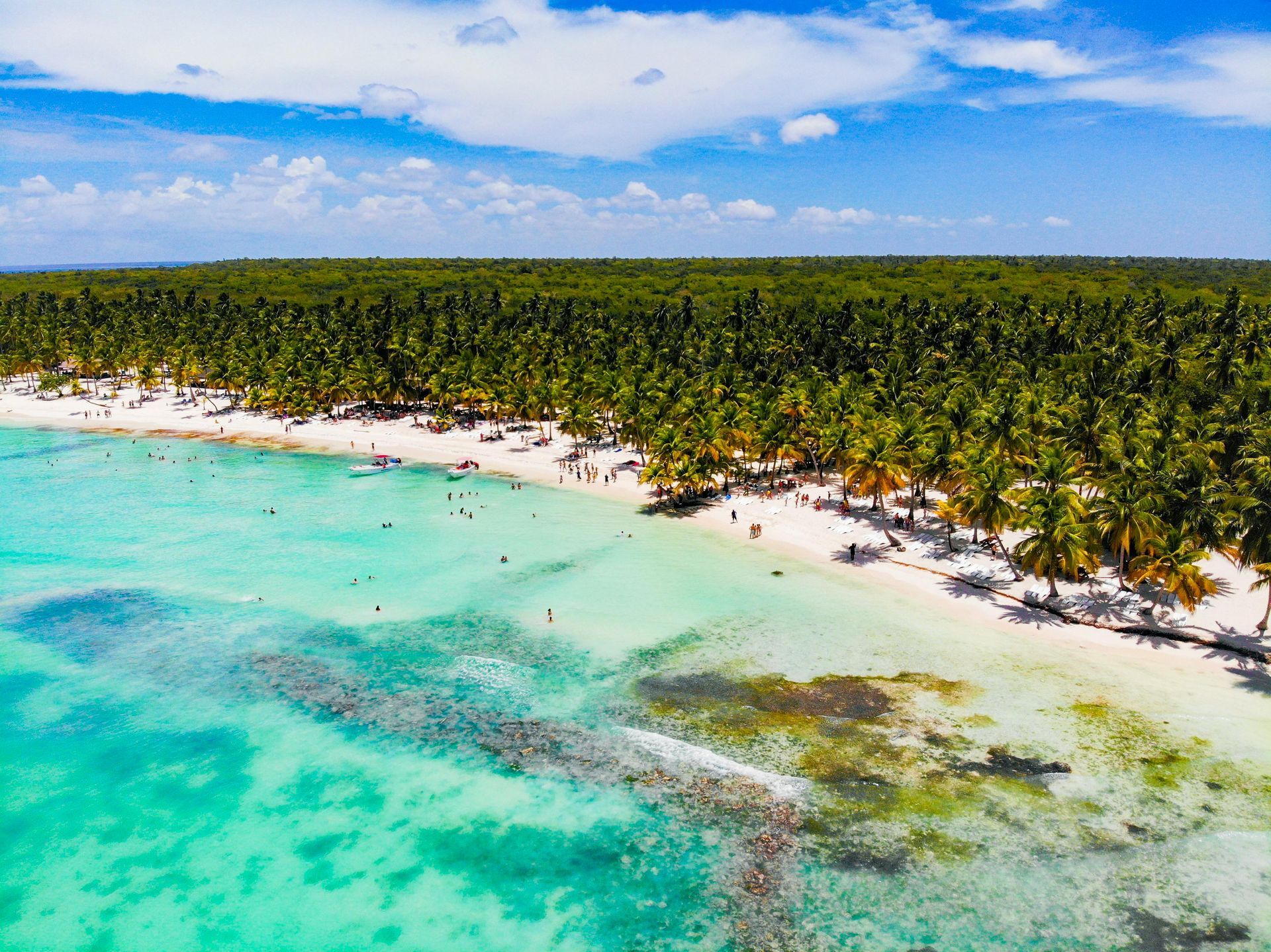 Turquoise tropical beach with white sand, palm trees, and clear blue sky Punta Cana