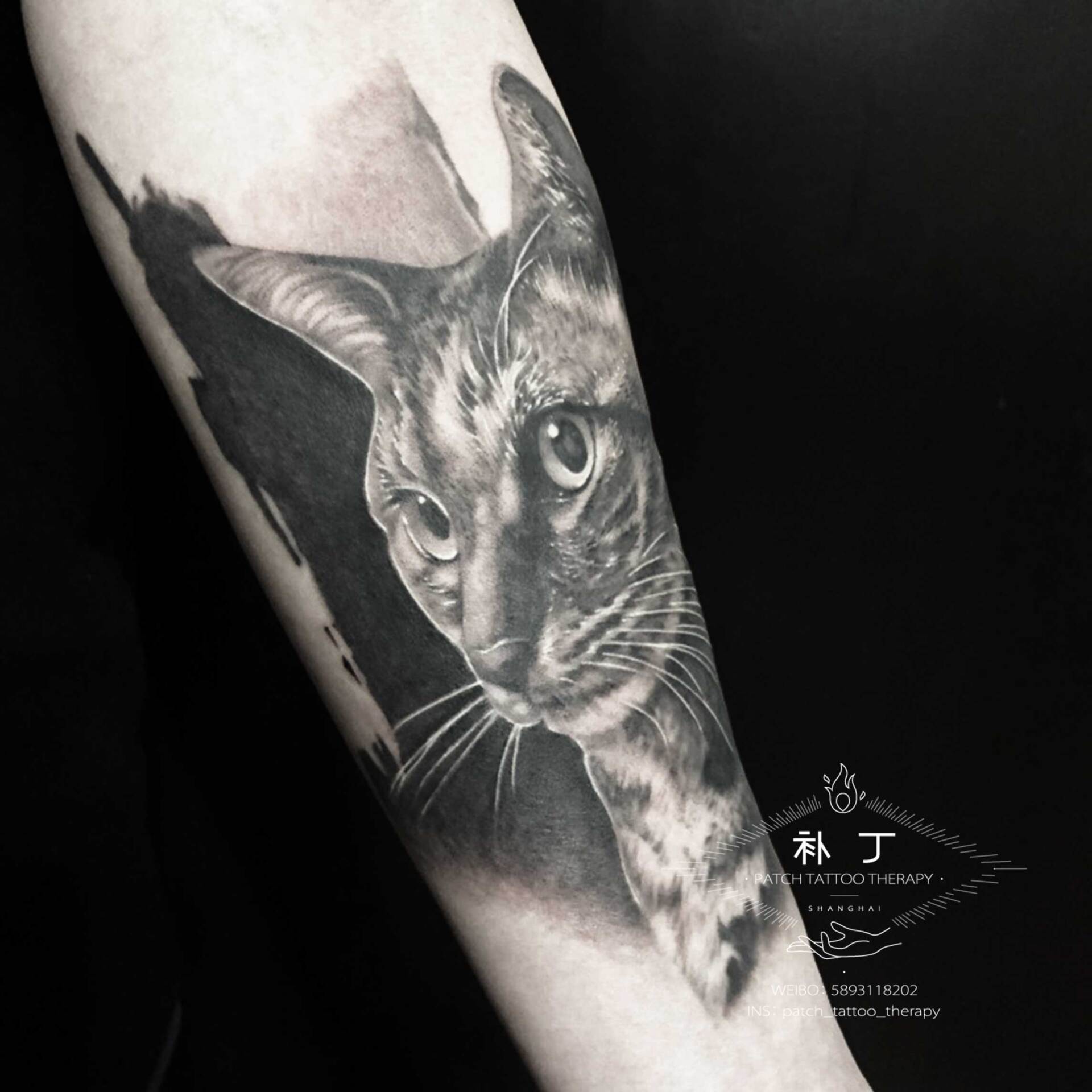Inner forearm portrait tattoo of a cat in black and grey realistic style designed by Jingxi Gu at Patch Tattoo Therapy