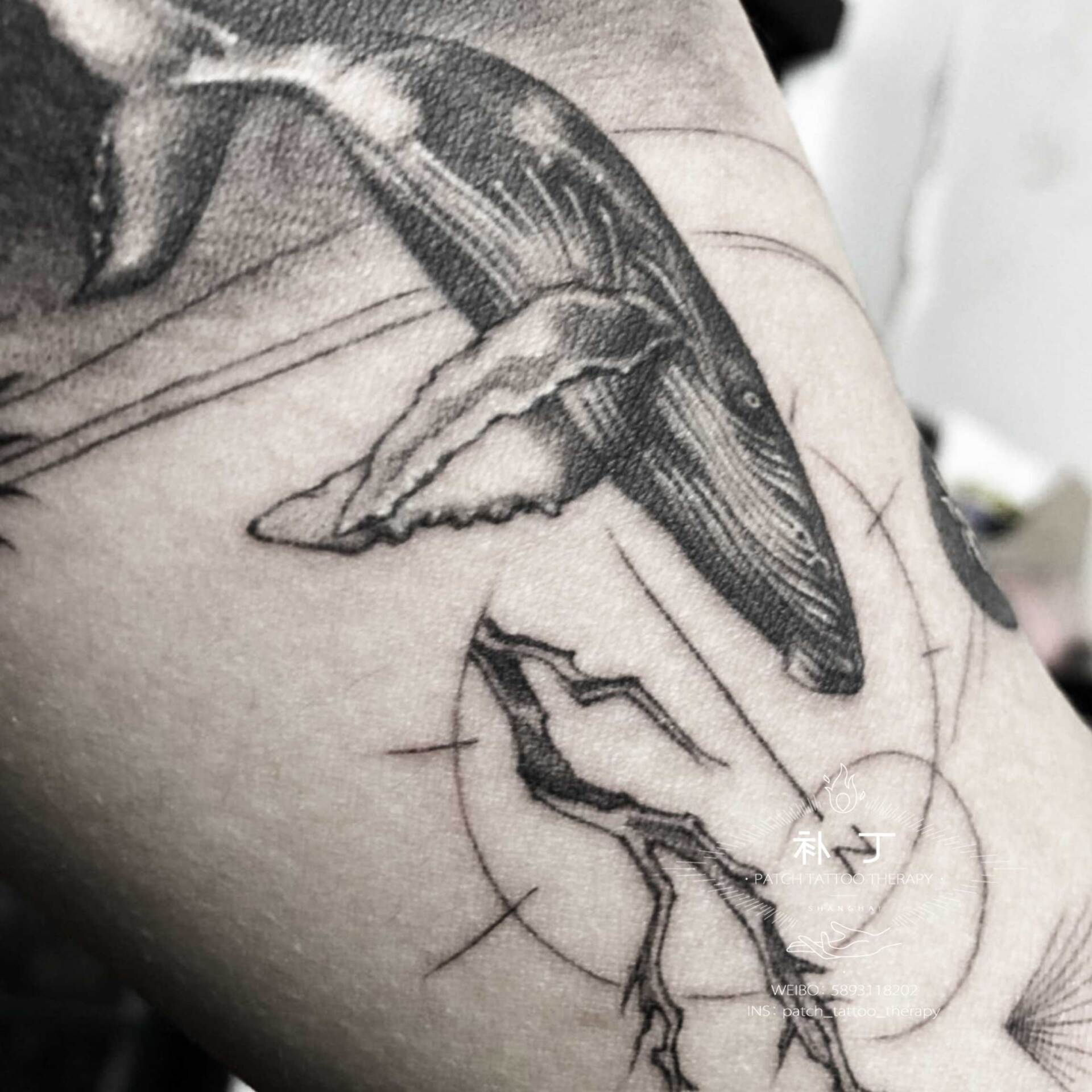 Inner arm tattoo of a diving whale in a compass ocean in geometric style designed by Jingxi Gu at Patch Tattoo Therapy - angle 3